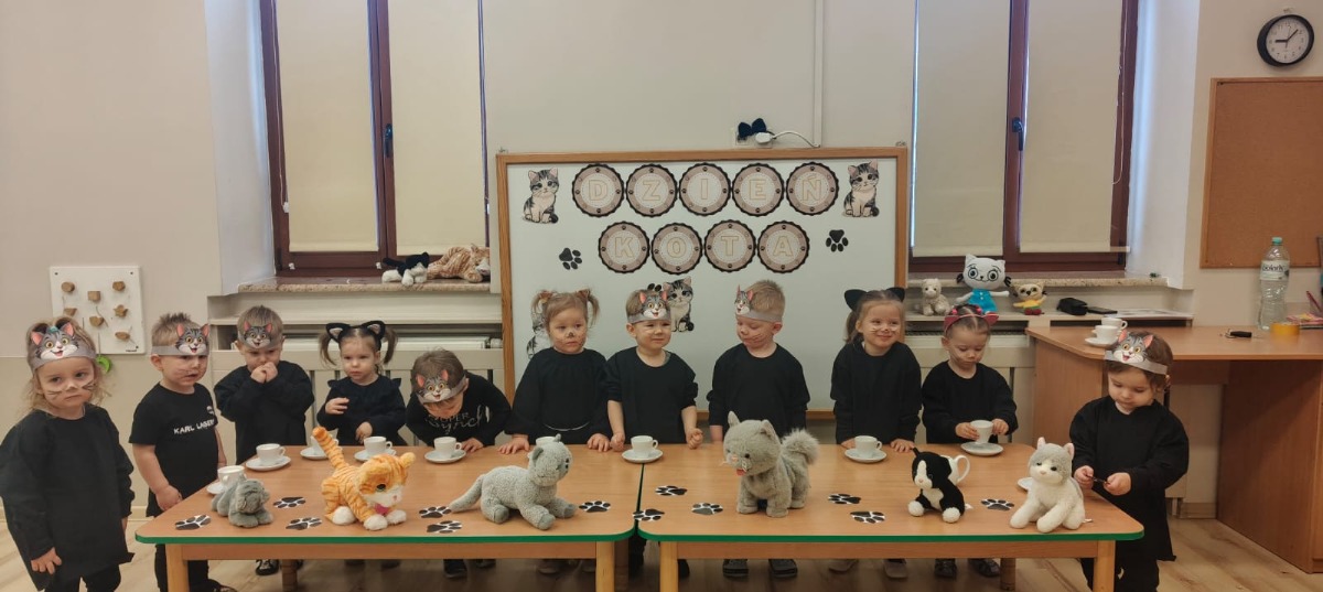 dzień kota dzień kota