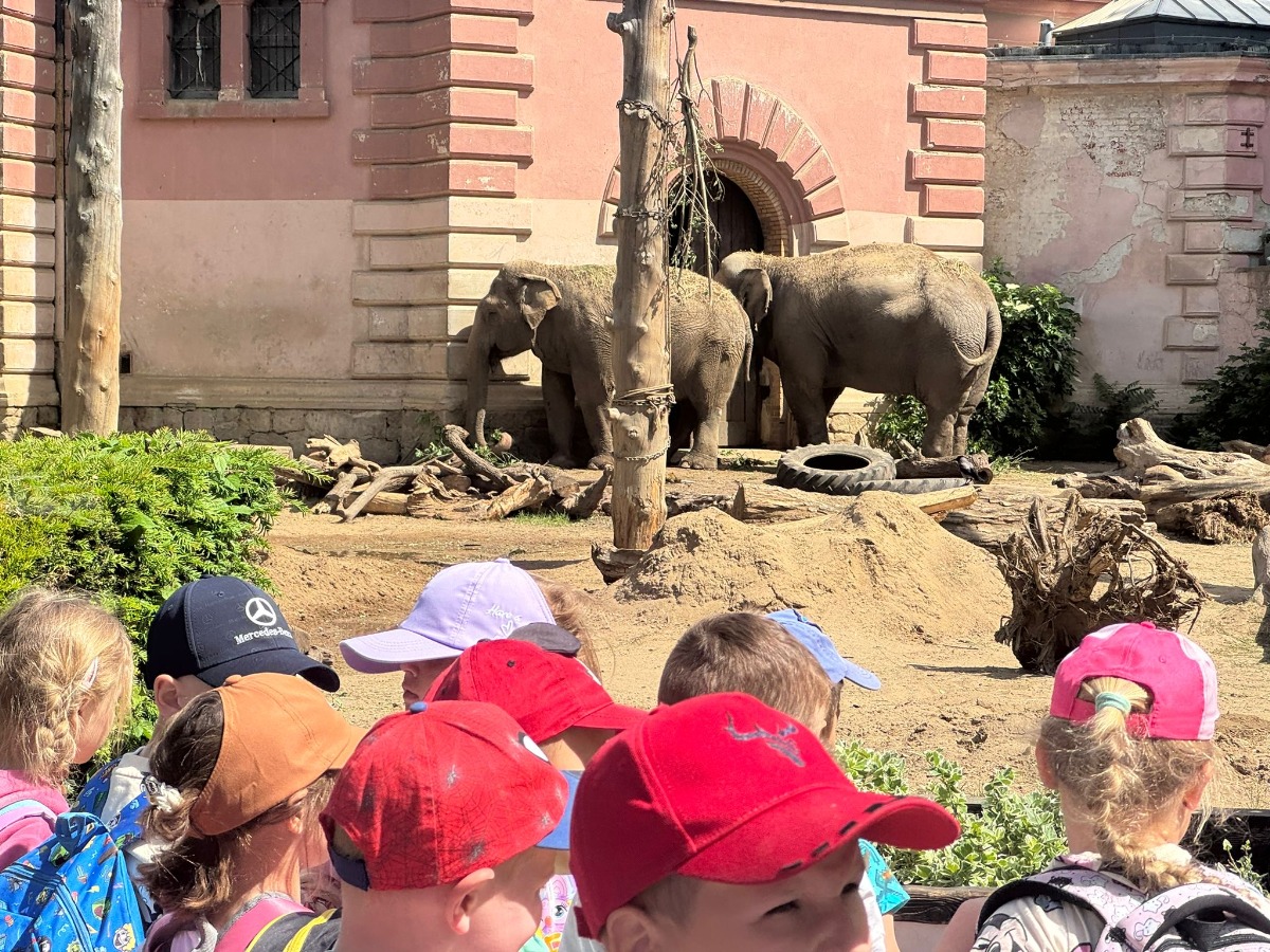 ZOO