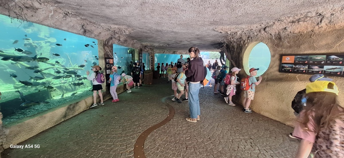 ZOO
