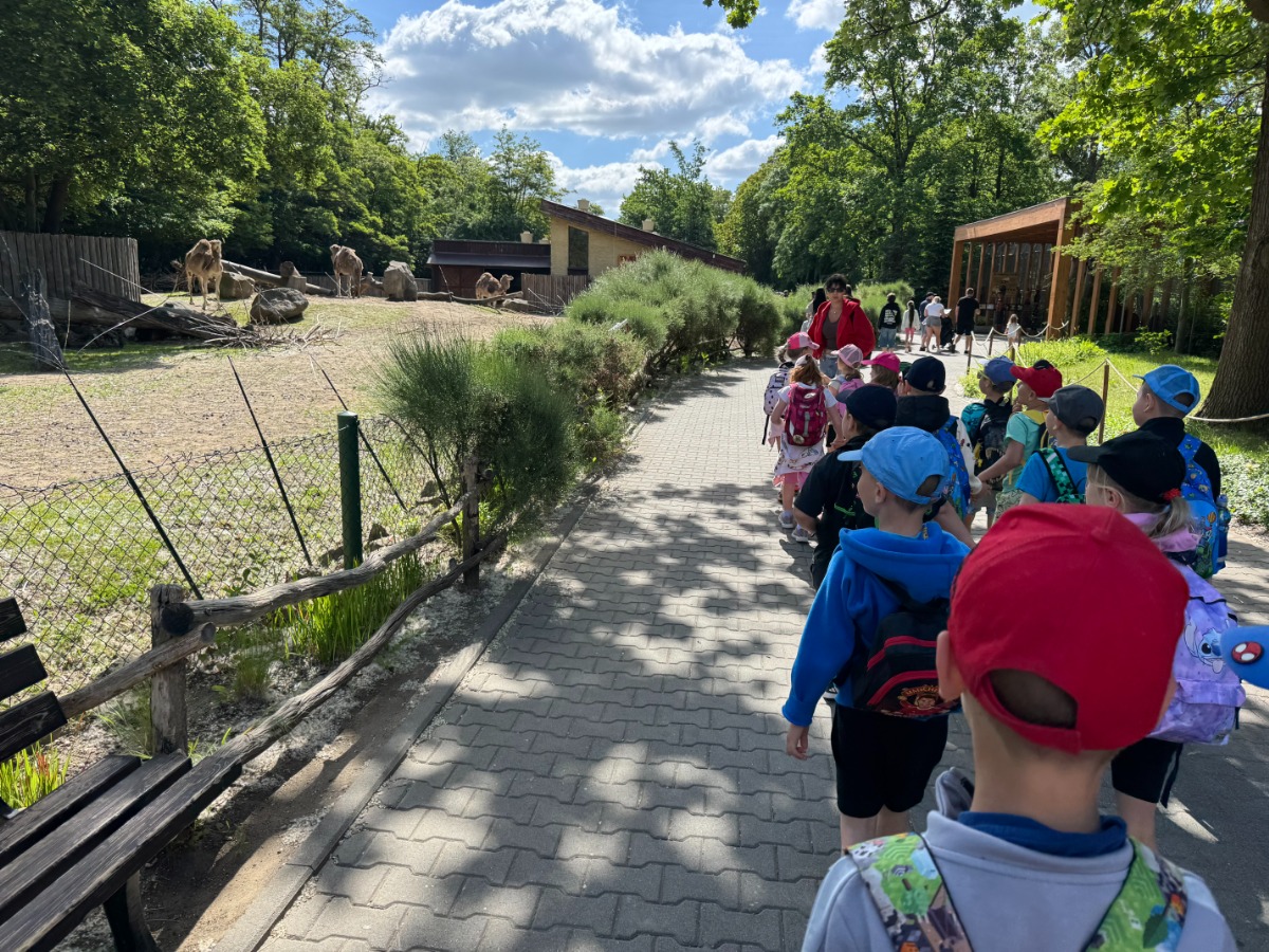 ZOO