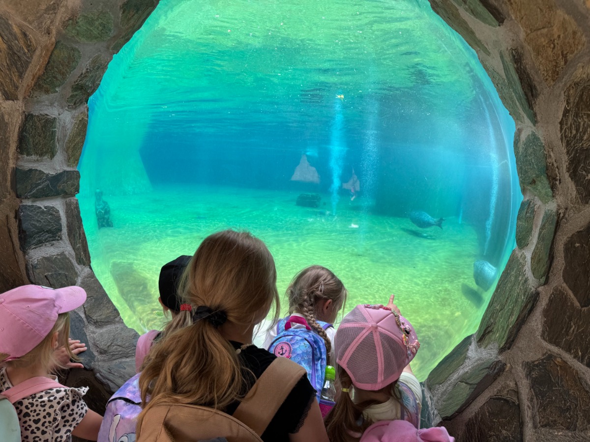 ZOO